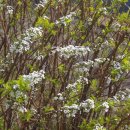 정심초등학교 이미지