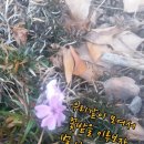삼겹살좋은데이 이미지