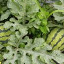 달빛소리모텔 이미지