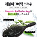 예얼(예쁜얼굴) 이미지