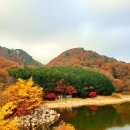 장호관광지 이미지