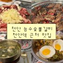 행복담은온갈비 | 천안 문화동 능수숯불갈비 | 천안 야장의 계절! 히밥도 감탄한 마늘갈비살 다시 먹으러 온 찐단골 후기