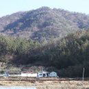 로우코스트 네이버블로그