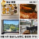 뽀빠이PC | [일상 블챌] 노브랜드 할로윈 쿠키 키트와 함께한 주말