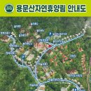 경기도 양평 가볼 만한 곳 용문산 자연휴양림 진짜 좋아요!(숙박,바베큐)