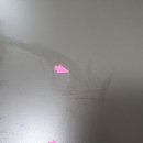 꼼꼬미클린