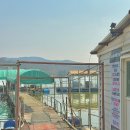 1258 | 봉재낚시터 천안 아산 낚시터 추천 좌대 후기 붕어 향어 빠가사리 잉어 조황 첨부