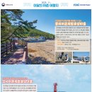 11월의 수산물, 어촌여행지, 해양생물, 등대, 해양유물, 무인도서 선정