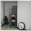 비룡앞 도로변 이미지