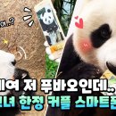 🐼 손재주 아주 미친 송영관 사육사 (a.k.a 송바오 / 작은할부지) 🐼 이미지