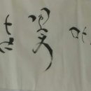 밥꽃 이미지