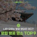 울산남부경찰서 본관 화장실 | 2026년 벚꽃 개화 시기는? 인생샷 건지는 로컬 숨은 벚꽃 명소 TOP 9