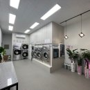 워시팡팡 이미지