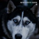 안양안경점,평촌역안경점 레이밴 비젼안경 안양관양점 평촌역에서 가까운