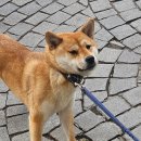 일과1교차로 1 이미지