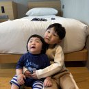 호텔리얼 이미지