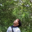 페트리커