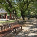 만옥정길 이미지