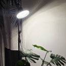 팜텍 | 식물LED 추천 히포팜텍 UFO램프 블랙패키지 사용후기