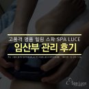 스파루체 이미지