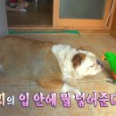 이하영농장 이미지