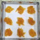 새꽃시루 이미지