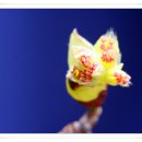 순천-34호 이미지