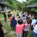 황룡뿌리(흑염소농장) 이미지