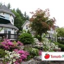 토마토펜션 이미지