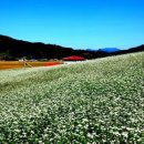 황토방 민박 이미지