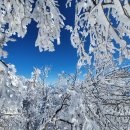 논현2-112 이미지