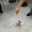 동물 좋아하는 아이들과 다녀온 하루,주주타임 부산 실내동물원 후기