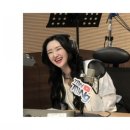 보물세상 네이버블로그