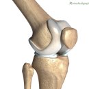 경희보비한의원 이미지