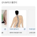 W2. 시디즈(SIDIZ) T90 혼수템 구매 후기｜장시간 앉아도 편한 프리미엄 사무용 의자