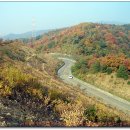 샘재로 4 이미지