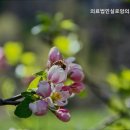 의료법인 실로암의료복지재단 이미지