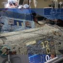 햄릿과 올리브 이미지