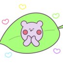 힐라비