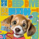 펫살롱 코코 이미지