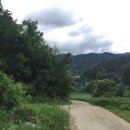 강림면350 이미지