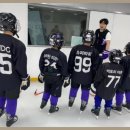 편안한집공인중개사사무소 이미지