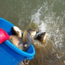 월곡낚시터 이미지