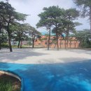 동부지방산림청양양국유림관리소 이미지