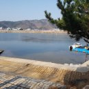 오십천마리나