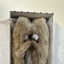 [봉통] 현대백화점 압구정 봉통 토끼신발 구매후기 사이즈팁