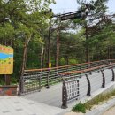 설악스카이 이미지