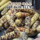 협신 | 청량리 경동시장 먹거리 옥수수 맛집 협신유통 가격 종류 후기