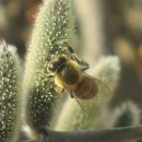 달빛에 물들이고 이미지