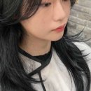 콘크리트헤어 이미지